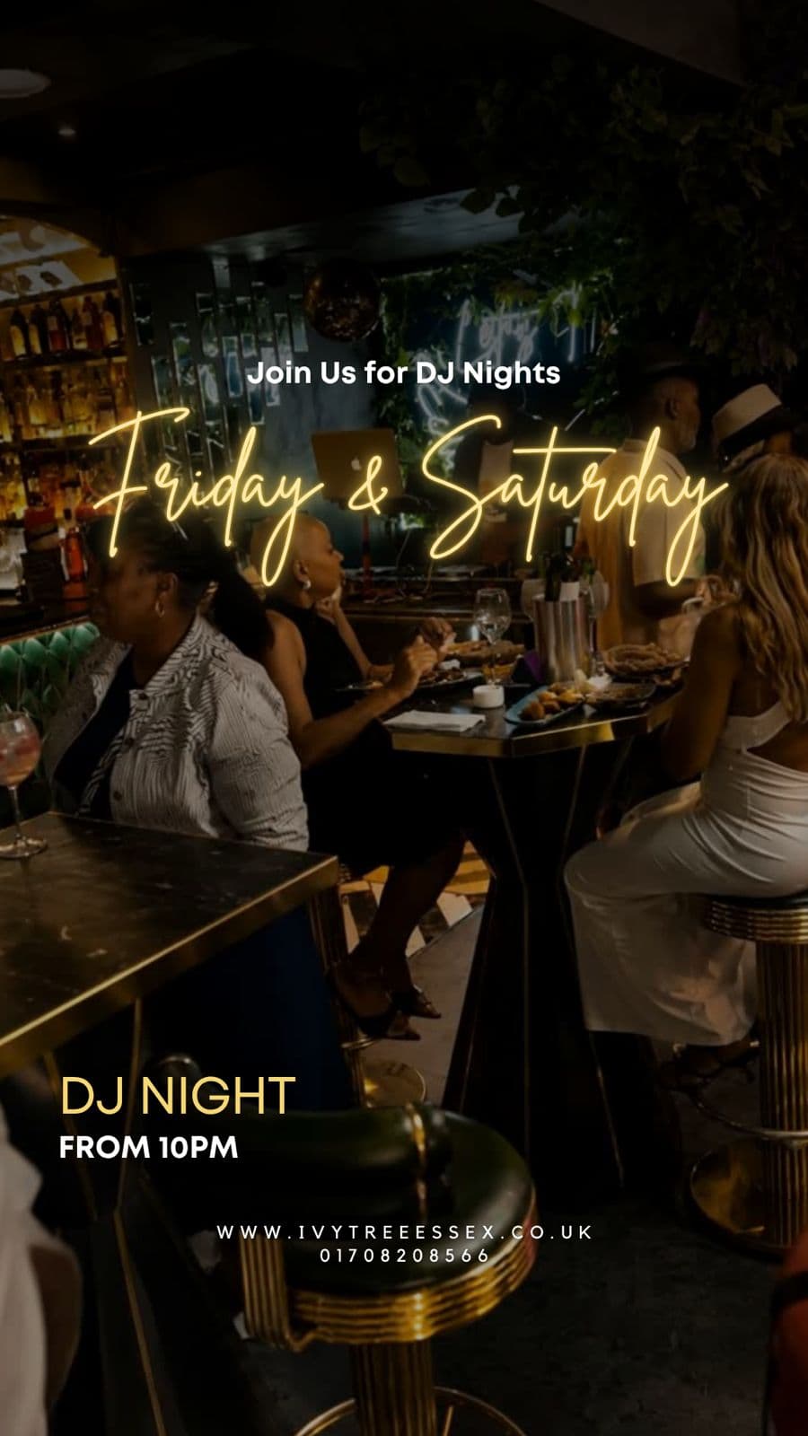 DJ NIGHTS